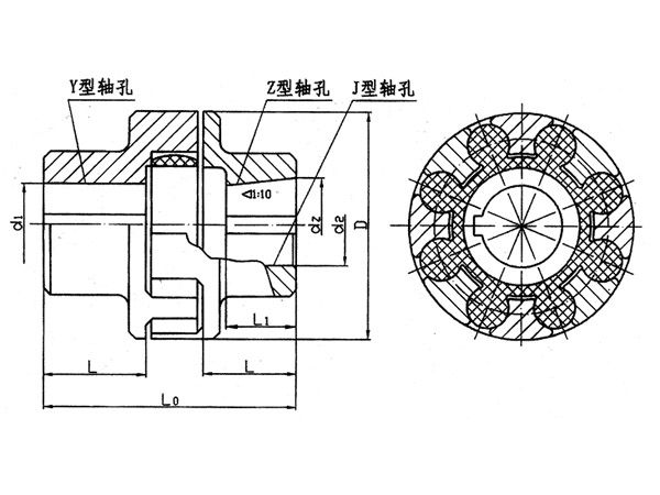 ML型梅花形彈性聯軸器系列